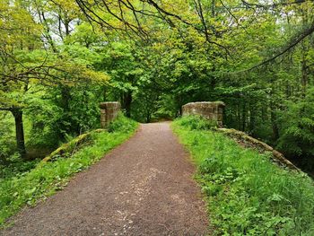 Footpath in park