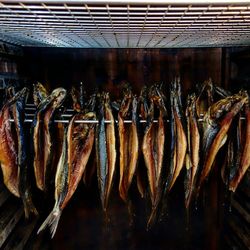 Close-up of fish hanging on barbecue grill