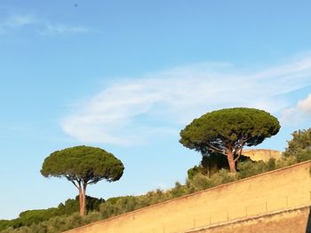 Trees on landscape against blue sky