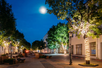 Street amidst trees against sky