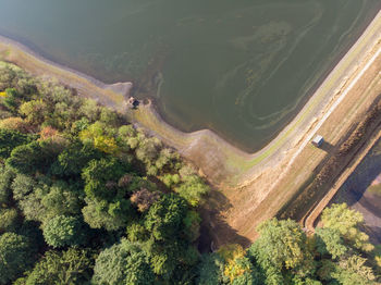 High angle view of trees on landscape