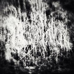 Full frame shot of tree