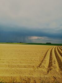 Scenic view of agricultural field against sky