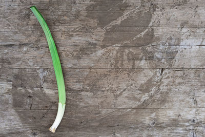 Close-up high angle view of leek on wooden table