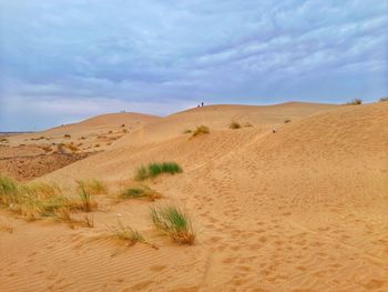 Sand dunes and clouds in algeria