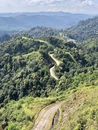 Aerial view of winding road in forest