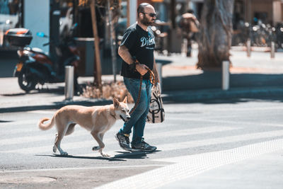 Full length of dog on road in city