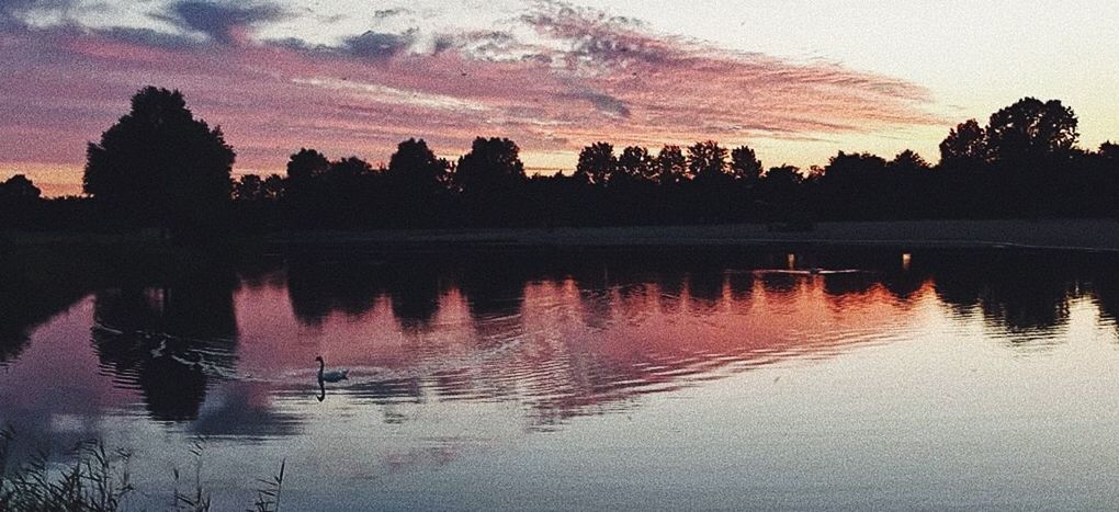 reflection, water, sky, sunset, lake, tree, beauty in nature, plant, tranquility, silhouette, scenics - nature, cloud - sky, tranquil scene, nature, waterfront, no people, idyllic, outdoors