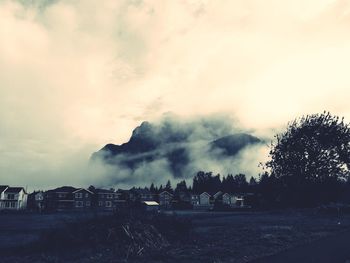 Scenic view of trees against sky