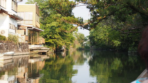 Reflection of trees in lake