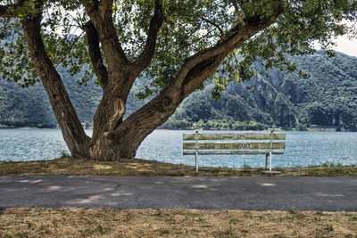 Empty bench by tree by lake