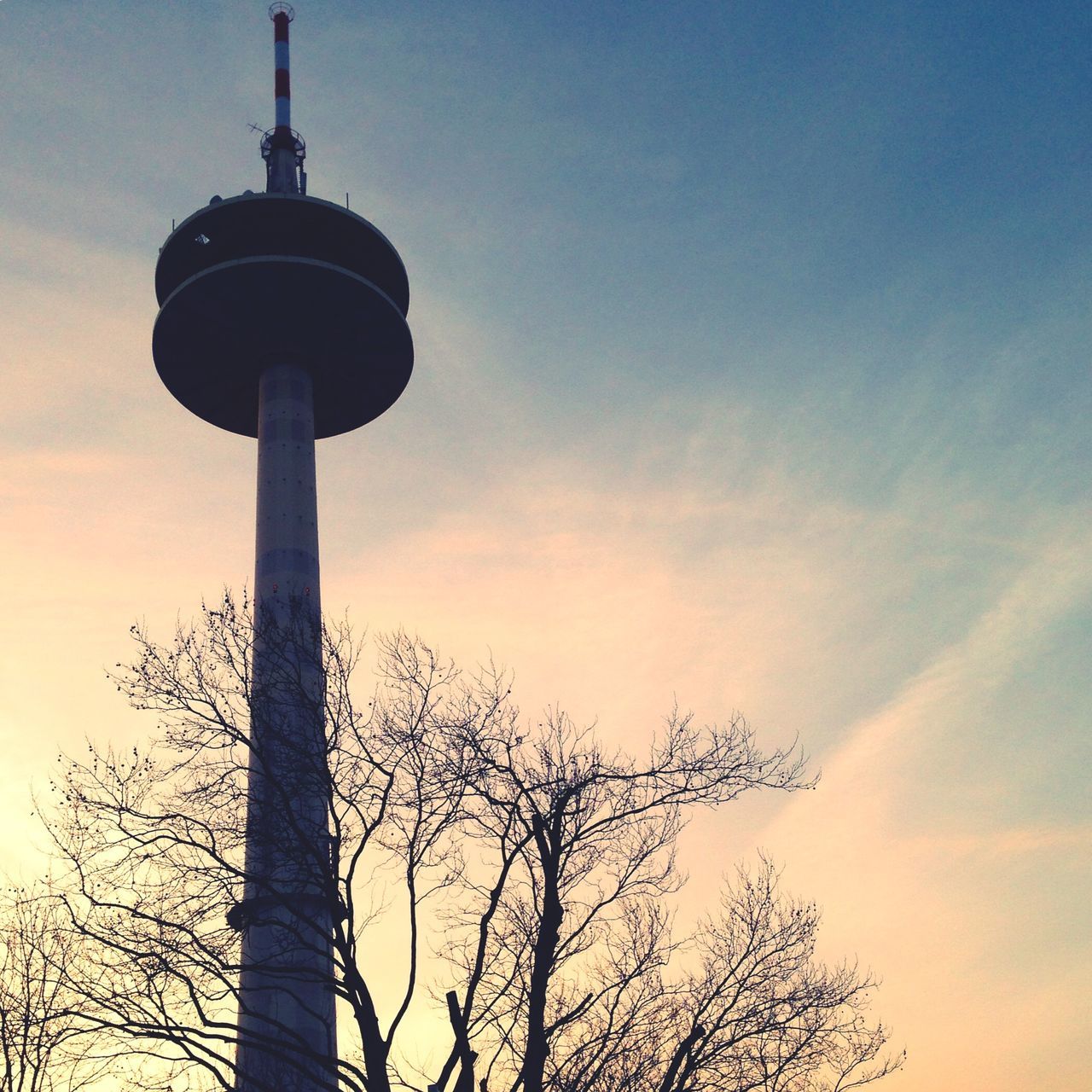 low angle view, tower, silhouette, sky, tree, sunset, tall - high, communications tower, bare tree, built structure, architecture, building exterior, street light, guidance, cloud - sky, communication, dusk, nature, outdoors, tranquility