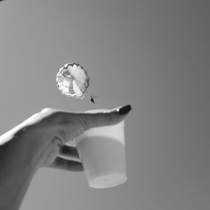 Close-up of hand holding flying over white background