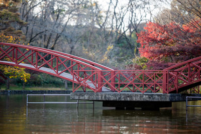 Bridge over river in forest during autumn