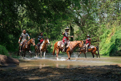 People riding horses at forest