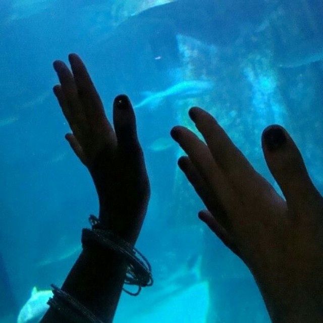 person, part of, human finger, blue, personal perspective, lifestyles, underwater, unrecognizable person, leisure activity, men, cropped, holding, water, swimming pool, swimming, indoors