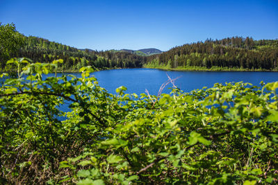 Scenic view of lake against clear blue sky