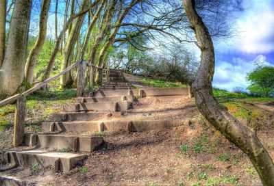 Low angle view of steps amidst trees against sky