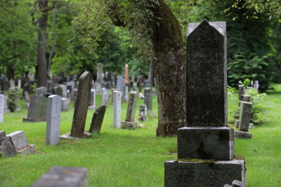 View of cross in cemetery