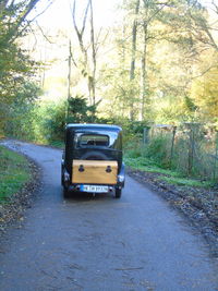 Vintage car on tree