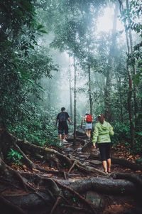 People standing by tree in forest