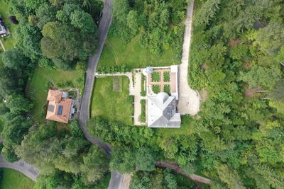 High angle view of road amidst trees