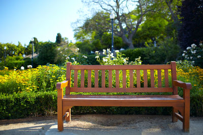 Empty wooden bench at park