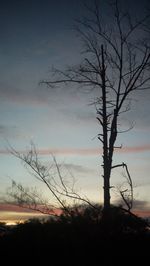 Silhouette of bare tree against cloudy sky