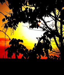Low angle view of trees against sky at sunset