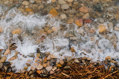 High angle view of rocks on shore