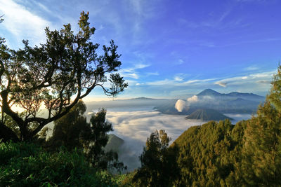 Scenic view of landscape against sky