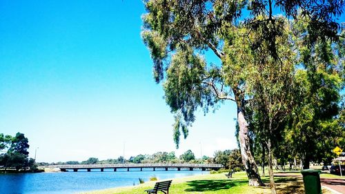 Scenic view of river against clear blue sky