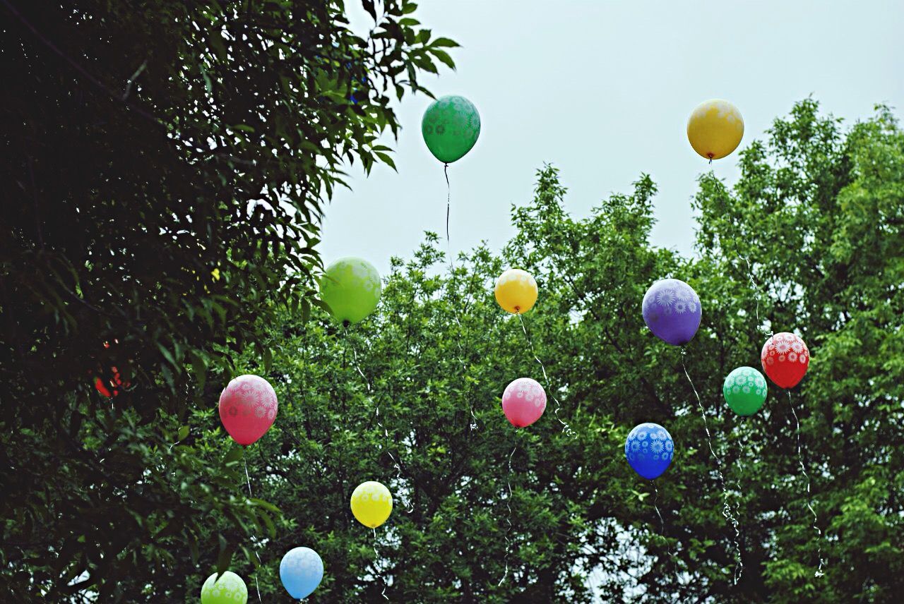 low angle view, tree, sky, growth, balloon, multi colored, nature, beauty in nature, tranquility, green color, clear sky, sphere, outdoors, no people, field, blue, tranquil scene, day, scenics, celebration