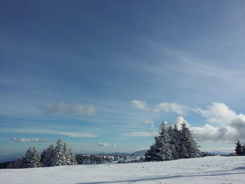 Scenic view of tree on snow covered field against sky