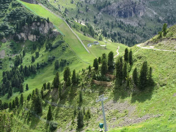 Scenic view of grassy field