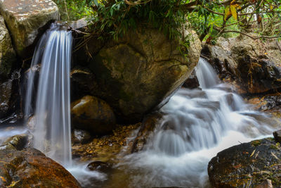 Scenic view of waterfall in forest