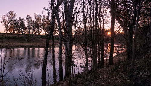 Scenic view of river in forest at sunset