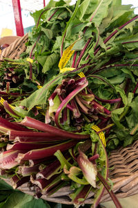 Close-up of vegetables