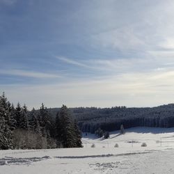 Panoramic view over black forest in winter