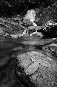 Scenic view of waterfall in forest