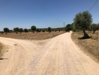 Road by trees against clear blue sky