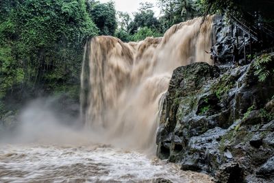 Scenic view of waterfall in forest