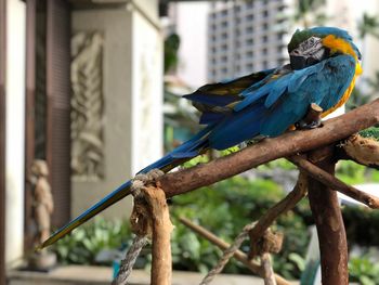 Bird perching on a branch