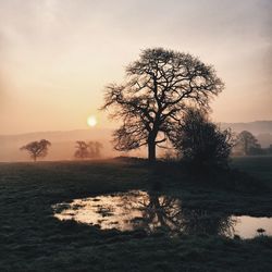 Scenic view of landscape at sunset