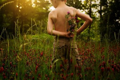 Rear view of shirtless boy holding flowers in back on field