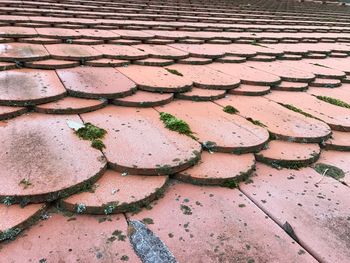 Full frame shot of cracked landscape