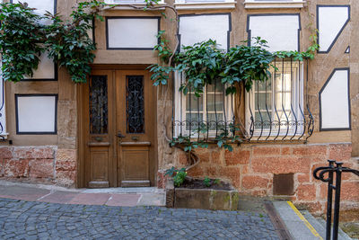Potted plants on street by building